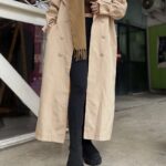 بارونی آستردار(1671)