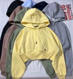 هودی کراپ ساده سه نخ داخل کرک(3390) - Image 3