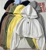 هودی کراپ ساده سه نخ داخل کرک(3390) - Image 2