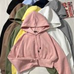 هودی کراپ ساده سه نخ داخل کرک(3390)