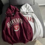 هودی HARVARD وارداتی اورجینال سه نخ داخل کرک گرم بالا(3431)