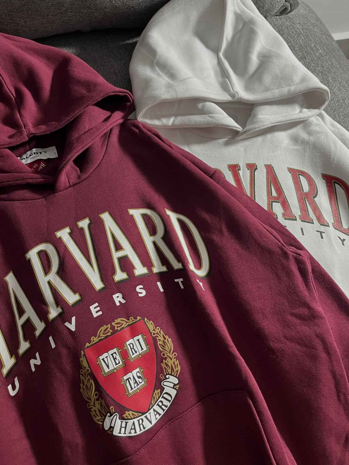 هودی HARVARD وارداتی اورجینال سه نخ داخل کرک گرم بالا(3431) - Image 4