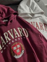 هودی HARVARD وارداتی اورجینال سه نخ داخل کرک گرم بالا(3431) - Image 4
